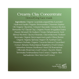 Creamy Clay Concentrate - Travel Pack