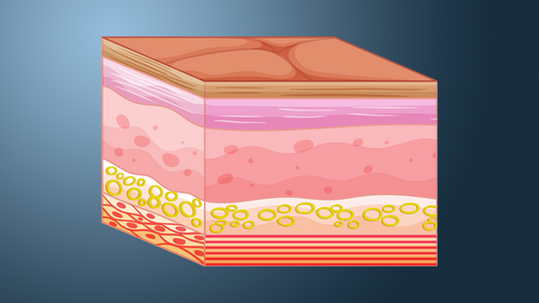 Your Skin Barrier: Look after it, cherish it, nourish it.