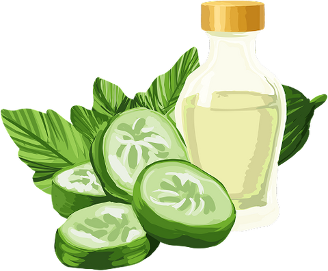 Cucumber Extract icon
