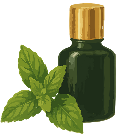 Peppermint Oil icon