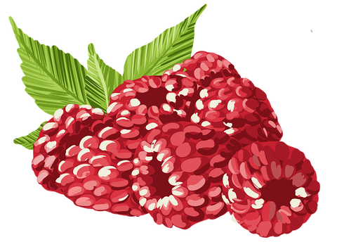 Raspberry Extract icon
