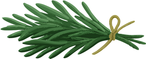 Rosemary icon